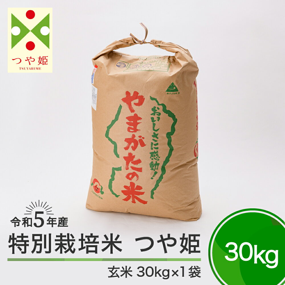 【ふるさと納税】米 令和5年産 つや姫 30kg 大石田町産 特別栽培米 玄米 送料無料※沖縄・離島への配送...