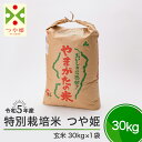 19位! 口コミ数「1件」評価「2」米 令和5年産 つや姫 30kg 大石田町産 特別栽培米 玄米 送料無料※沖縄・離島への配送不可 大石田