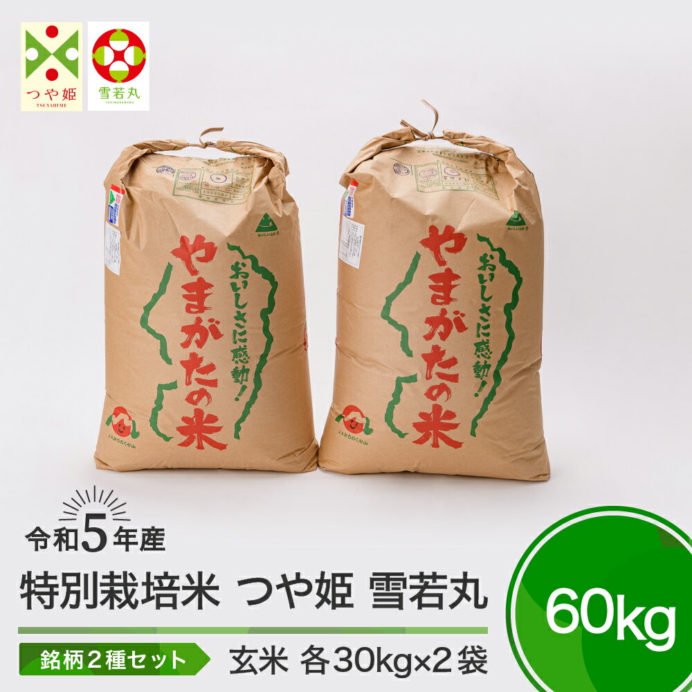 【ふるさと納税】米 令和5年産 つや姫 雪若丸 各30kg 計60kg 大石田町産 特別栽培米 玄米 送料無料 大石田