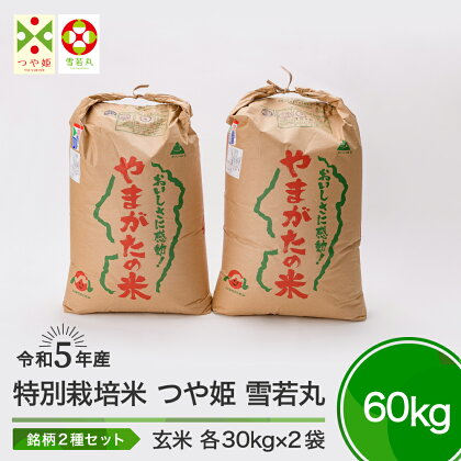 米 令和5年産 つや姫 雪若丸 各30kg 計60kg 大石田町産 特別栽培米 玄米 送料無料 大石田