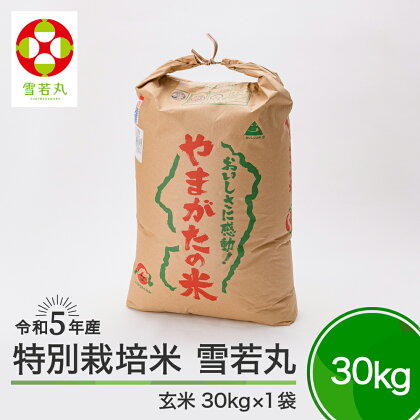 米 令和5年産 雪若丸 30kg 大石田町産 特別栽培米 玄米 大石田 送料無料※沖縄・離島への配送不可