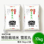 【ふるさと納税】米 令和5年産 雪若丸 10kg 大石田町産 特別栽培米 精米 送料無料 大石田