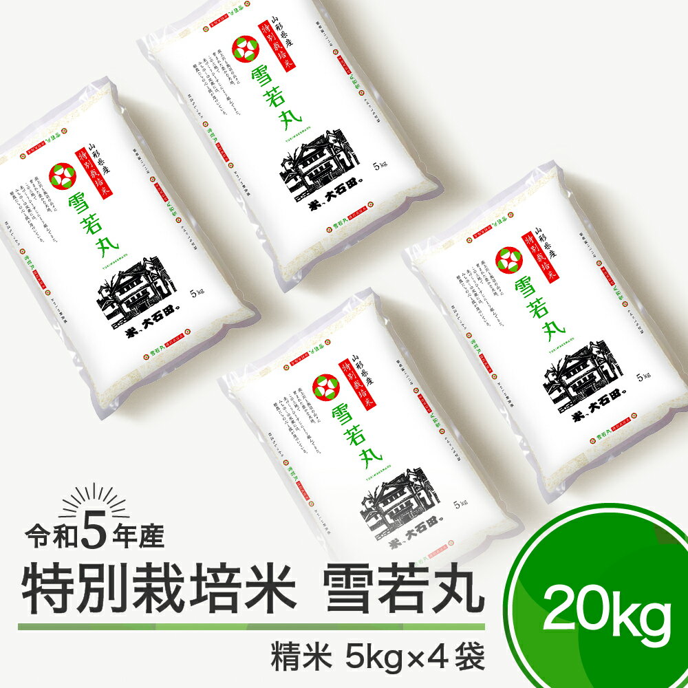 【ふるさと納税】米 令和5年産 雪若丸 20kg 大石田町産 特別栽培米 精米 送料無料 大石田