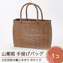 【ふるさと納税】山ぶどう かごバッグ 菱形網代編み 手提げバック 中 送料無料 tm-kgtbx