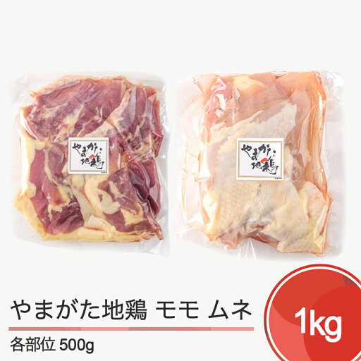 【ふるさと納税】やまがた地鶏 モモ ムネセット 送料無料 as-zdzmx 【ふるさと納税】やまがた地鶏 モモ ムネセット 送料無料 as-zdzmx
