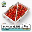 【ふるさと納税】先行予約 さくらんぼ 佐藤錦 ○秀L玉以上 1kgバラ 令和8年産 2026年産 果物 果樹 フルーツ 送料無料 ja-snbax1