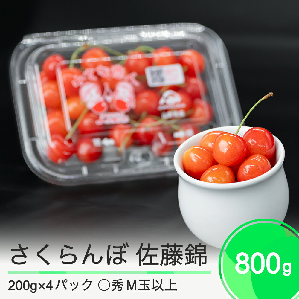 【ふるさと納税】先行予約 さくらんぼ 佐藤錦 ◯秀 M玉 200g×4パック 計800g フードパック 2024年産 令和六年産 果物 果樹 フルーツ 送料無料