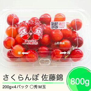 【ふるさと納税】先行予約 さくらんぼ 佐藤錦 ◯秀 M玉 200g×4パック 計800g フードパック 2024年産 令和六年産 果物 果樹 フルーツ 送料無料