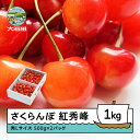 【ふるさと納税】 さくらんぼ 紅秀峰 6月中旬〜7月上旬発送 秀Lサイズ 1kg バラ詰め 化粧箱 (500gx2) 2026年産 山形県産 送料無料 サクラン...