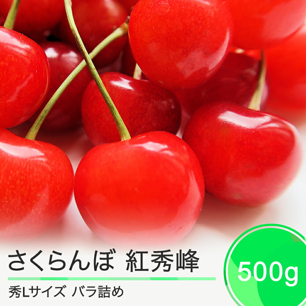 【ふるさと納税】 さくらんぼ 紅秀峰 6月下旬〜7月上旬発送 秀Lサイズ 500g バラ詰め 2025年産 山形県産 送料無料 サクランボ ns-bsslb500