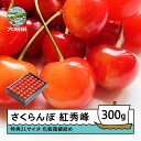 【ふるさと納税】 さくらんぼ 紅秀峰 6月中旬〜7月上旬発送 特秀2Lサイズ 300g プレゼント ギフト 化粧箱鏡詰め 2026年産 山形県産 送料無料 サク...