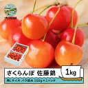【ふるさと納税】 さくらんぼ 佐藤錦 6月上旬〜下旬発送 秀Lサイズ プレゼント ギフト バラ詰め 1kg(500g×2パック) 2026年産 山形県産 送料無...