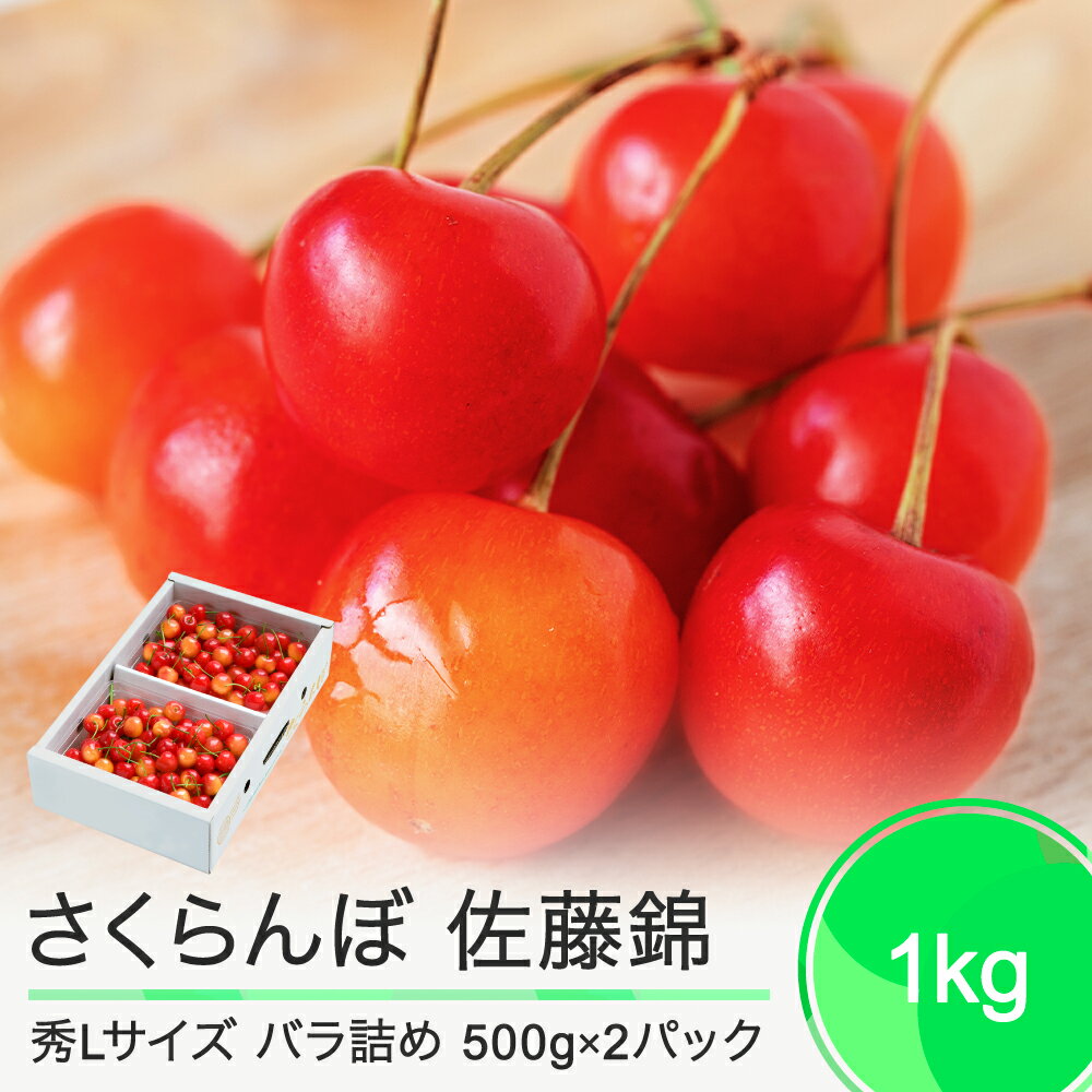【ふるさと納税】 さくらんぼ 佐藤錦 6月中旬〜下旬発送 秀Lサイズ プレゼント ギフト バラ詰め 1kg(500g×2パック) 2025年産 山形県産 送料無料 サクランボのサムネイル