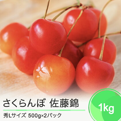 先行予約 さくらんぼ 佐藤錦 秀Lサイズ プレゼント ギフト バラ詰め 1kg(500g×2パック) 2024年産 令和6年産 山形県産 送料無料 サクランボ