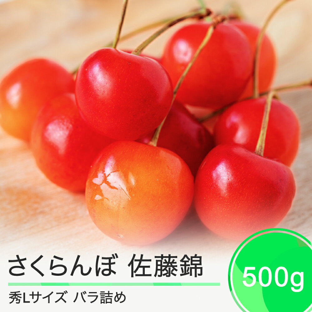 【ふるさと納税】先行予約 さくらんぼ 佐藤錦 秀Lサイズ 500g バラ詰め 2025年産 山形県産 送料無料 サクランボ ns-snslb500のサムネイル