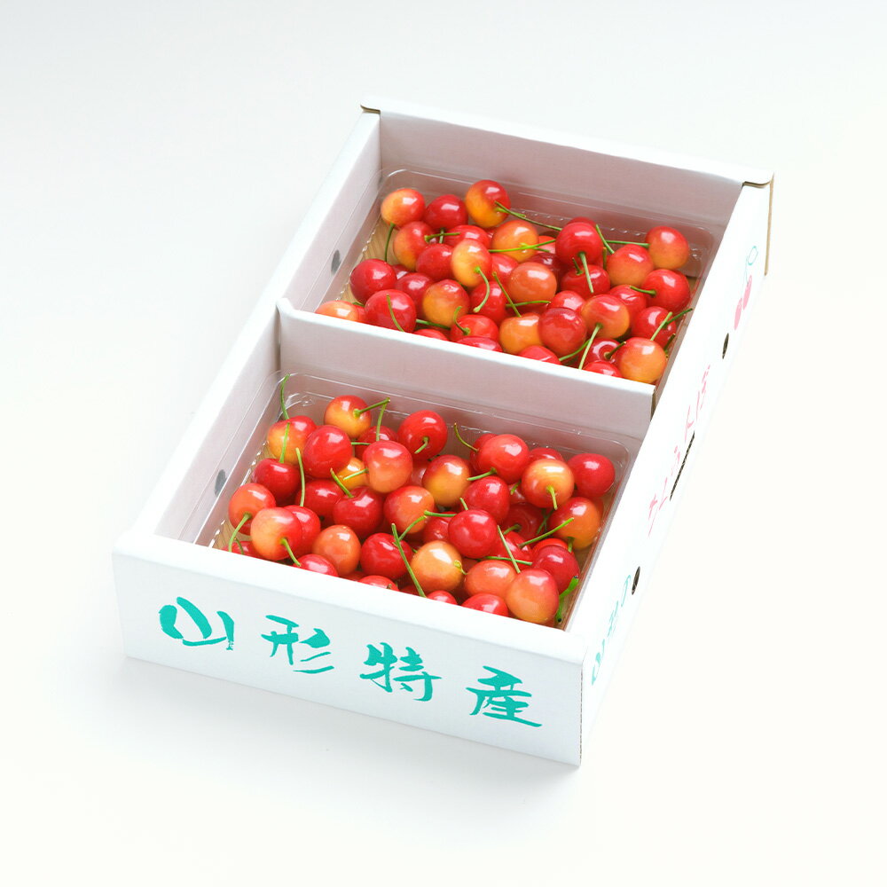 山形県大石田町の画像2