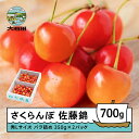 【ふるさと納税】 さくらんぼ 佐藤錦 6月上旬~下旬発送 秀Lサイズ バラ詰め 700g(350g×2パック) 2026年産 山形県産 送料無料 サクランボ