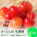【ふるさと納税】 さくらんぼ 佐藤錦 6月中旬〜下旬発送 秀Lサイズ バラ詰め 700g(350g×2パック) 2025年産 山形県産 送料無料 サクランボ