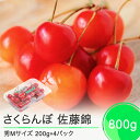 【ふるさと納税】 さくらんぼ 佐藤錦 6月中旬〜下旬発送 秀Mサイズ 800g (200gx4パック) フードパック 2025年産 山形県産 送料無料 サクラン...