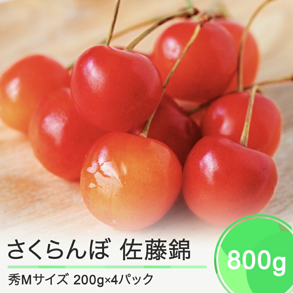 先行予約 さくらんぼ 佐藤錦 秀Mサイズ 800g (200gx4パック) フードパック 2024年産 山形県産 送料無料 サクランボ