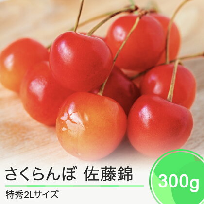 先行予約 さくらんぼ 佐藤錦 特秀2Lサイズ プレゼント ギフト 化粧箱鏡詰め 300g 2024年産 山形県産 送料無料 サクランボ