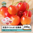 【ふるさと納税】さくらんぼ 佐藤錦 加温ハウス栽培 特秀Lサイズ プレゼント ギフト ダイヤパック 200g(100g×2パック) 2026年産 令和8年産 山形県産 送料無料 ns-sntdp200