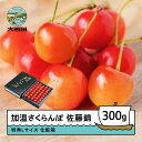 【ふるさと納税】先行予約 加温さくらんぼ 佐藤錦 特秀Lサイズ プレゼント ギフト 化粧箱鏡詰め 300g 2026年産 山形県産 送料無料 サクランボ ns-...