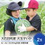 【ふるさと納税】すいか 大玉 2L～3L×2玉 収穫体験 8月3日、4日収穫 2024年産 令和6年産 スイカ so-onsux2