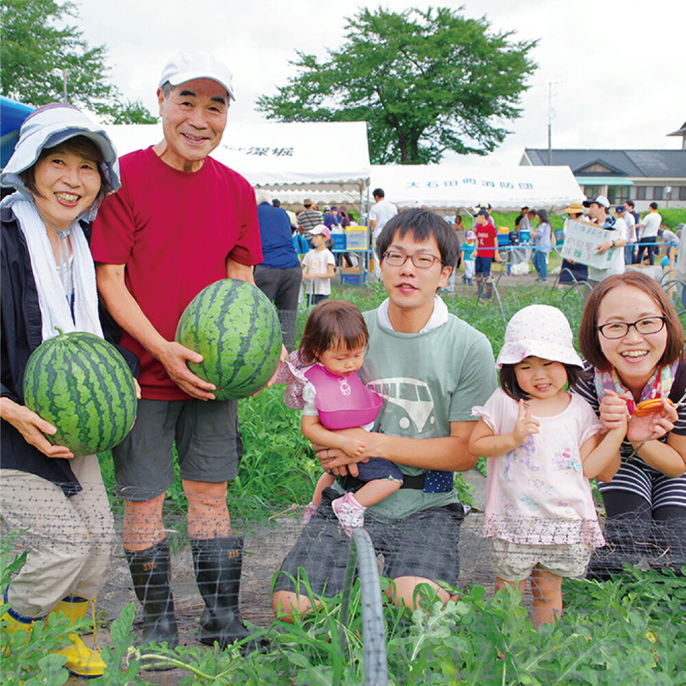 【ふるさと納税】すいか 大玉 2L～3L×2玉 収穫体験 8月3日、4日収穫 2024年産 令和6年産 スイカ so-onsux2