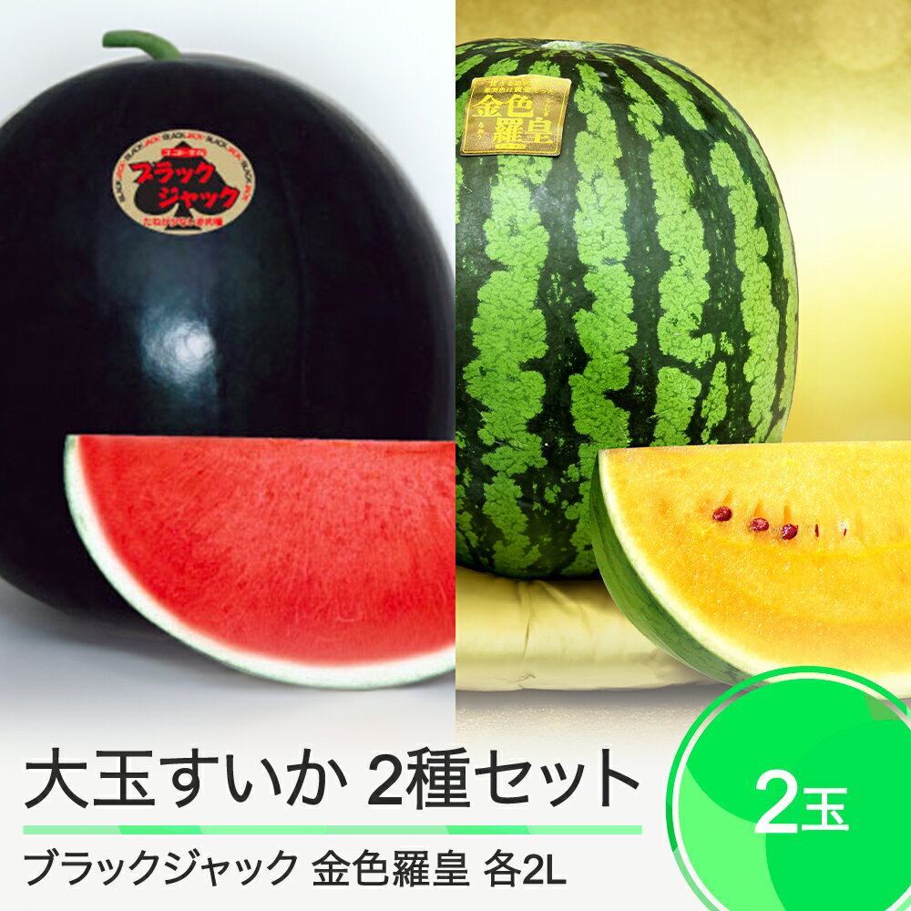 すいか 大玉すいか 2玉セット 食べ比べ ブラックジャック 金色羅皇 約7kg前後 計2玉入り 2025年産 令和7年産 送料無料 スイカ 大石田町産 8月上旬から順次発送
