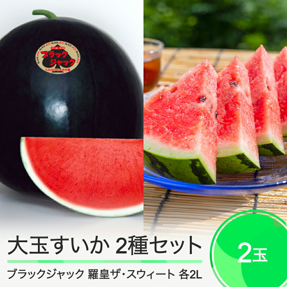 すいか 大玉すいか 2玉セット 食べ比べ ブラックジャック 羅皇ザ・スウィート 約7kg前後 計2玉入り 2025年産 令和7年産 送料無料 スイカ 大石田町産 8月上旬から順次発送