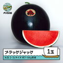 【ふるさと納税】すいか 大玉 ブラック・ジャック 2~3L×1玉入り 2026年産 令和8年産 送料無料 スイカ 大石田町産 8月上旬から順次発送 mn-subjx2