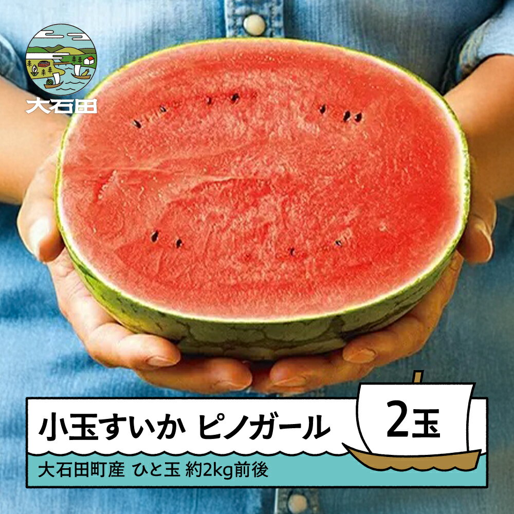 すいか 小玉すいか ピノガール 約2kg前後×2玉 2026年産 令和8年産 送料無料 スイカ 山形県産 大石田町産