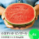 【ふるさと納税】すいか 小玉すいか ピノガール 約2kg前後×4玉 2026年産 令和8年産 送料無料 スイカ 山形県産 大石田町産 mn-sukxx4