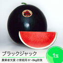 【ふるさと納税】 すいか ご家庭用 大玉 ブラック・ジャック 約6~8kg前後 1玉入り 2025年産 令和7年産 送料無料 スイカ 大石田町産 8月上旬から順...