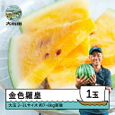【ふるさと納税】すいか 大玉 金色羅皇 2~3L×1玉入り 2026年産 令和8年産 送料無料 スイカ 大石田町産 7月下旬から順次発送 gt-sukrx2