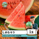 【ふるさと納税】すいか 大玉 2~3L×1玉入り 2026年産 令和8年産 送料無料 スイカ 大石田町産 7月中旬から順次発送 gt-susmx2