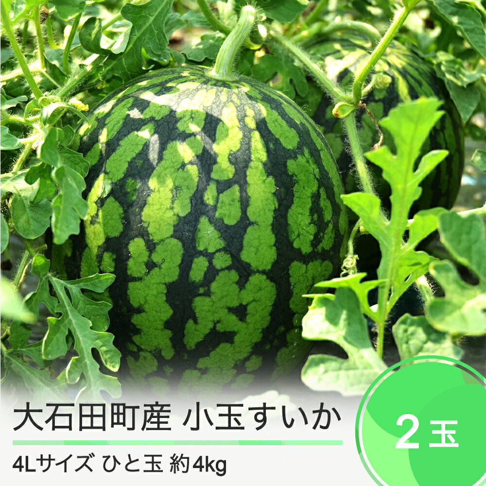 アイテムID:288053の画像1枚目