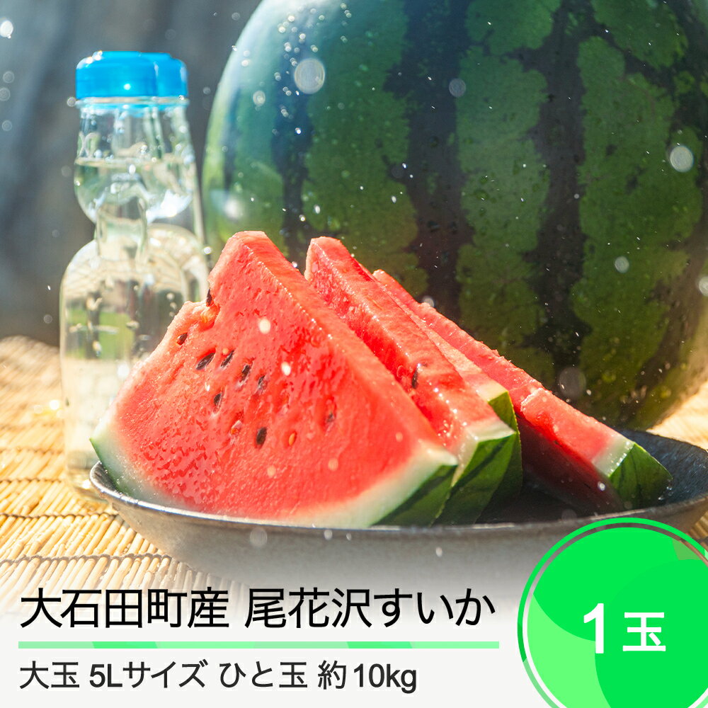 【ふるさと納税】尾花沢すいか 大玉 5L×1玉入り 2024年産 令和6年産 送料無料 スイカ 大石田