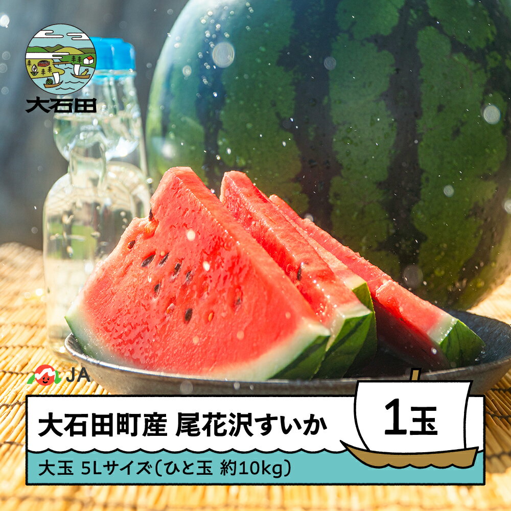 【ふるさと納税】尾花沢すいか 大玉 5L×1玉入り 2026年産 令和8年産 送料無料 スイカ 大石田 ja-suo1x5 ※沖縄・離島への配送不可