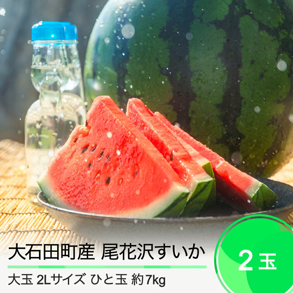 1位! 口コミ数「5件」評価「5」大玉 尾花沢すいか 2L×2玉入り 2024年産 令和6年産 送料無料 スイカ 大石田