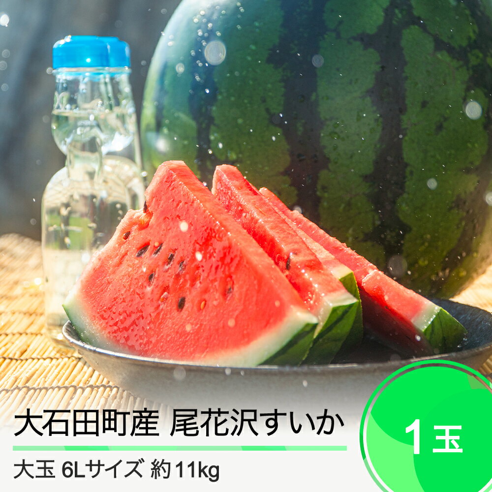 【ふるさと納税】先行予約 尾花沢すいか 大玉 6L 1玉入り 2024年産 令和6年産 送料無料 スイカ 大石田