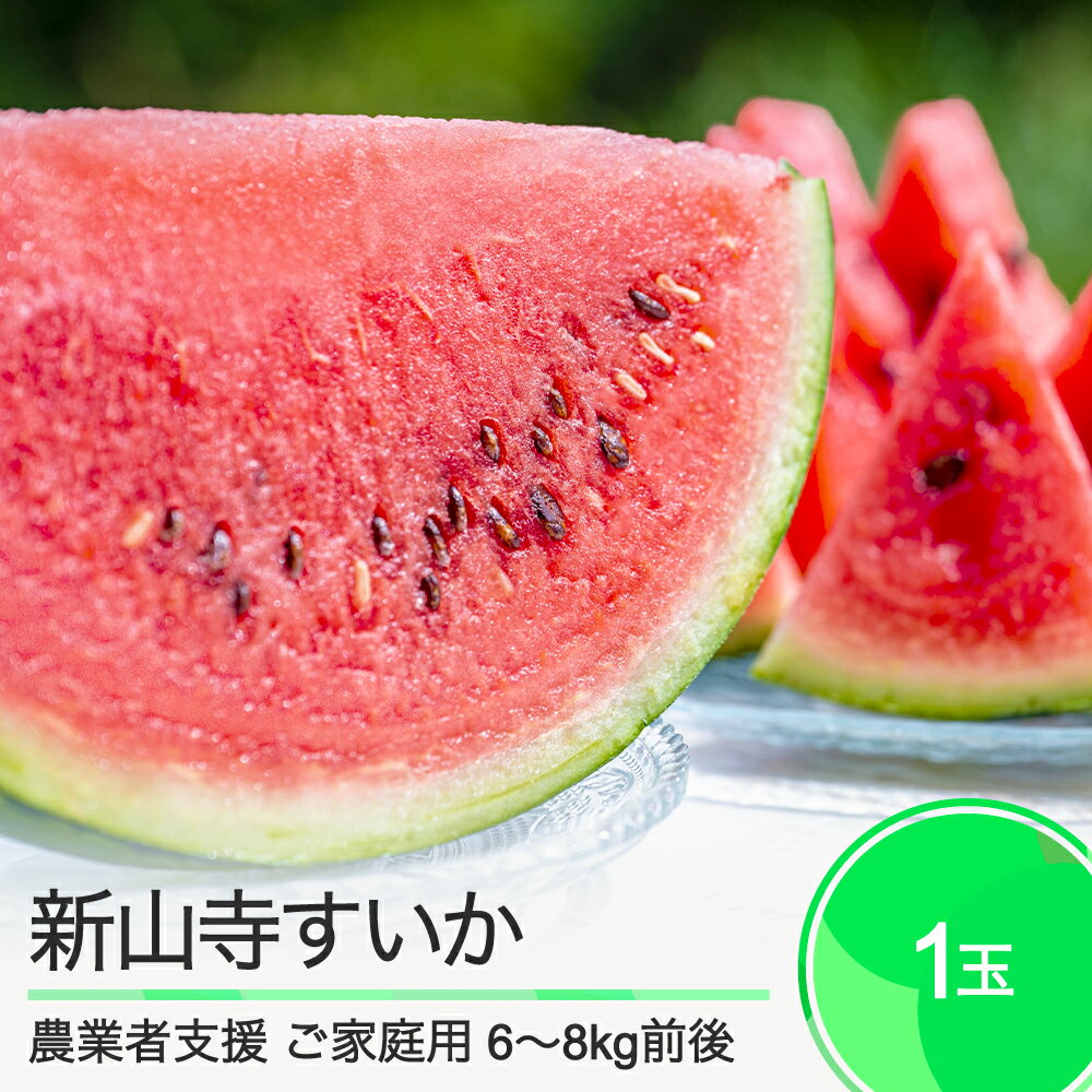 大玉 すいか [ご家庭用] 新山寺すいか 約6〜8kg前後 1玉入り 2025年産 令和7年産 送料無料 スイカ 山形県 大石田町