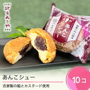 【ふるさと納税】 お菓子 シュークリーム スイーツ 洋菓子 あんこシュー 10個入 ギフト 冷凍 送料無料 us-swasx10