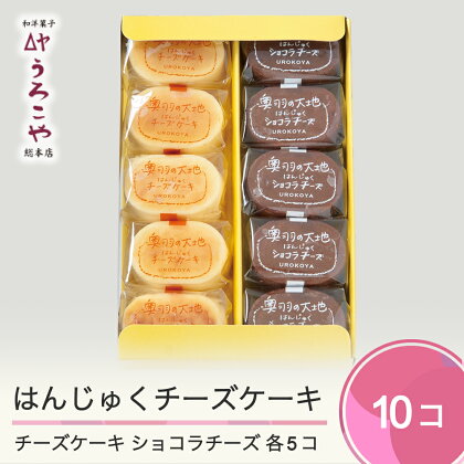 お菓子 スイーツ チーズケーキ チョコレート ケーキ 洋菓子 はんじゅくチーズケーキ ショコラチーズ 10個入 送料無料 us-swccc10