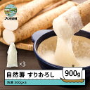 【ふるさと納税】 自然薯 雪国育ちの自然薯 すりおろし 300g×3個 計900g 山形県産 大石田町 oz-zisox900