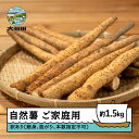 【ふるさと納税】 自然薯 雪国育ちの自然薯 ご家庭用 約1.5kg 山形県産 oz-ziwxx1500