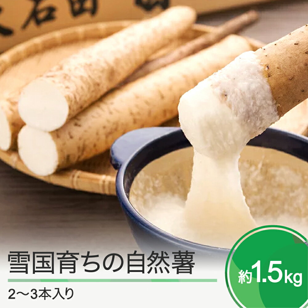天然自然薯ーー1キロ