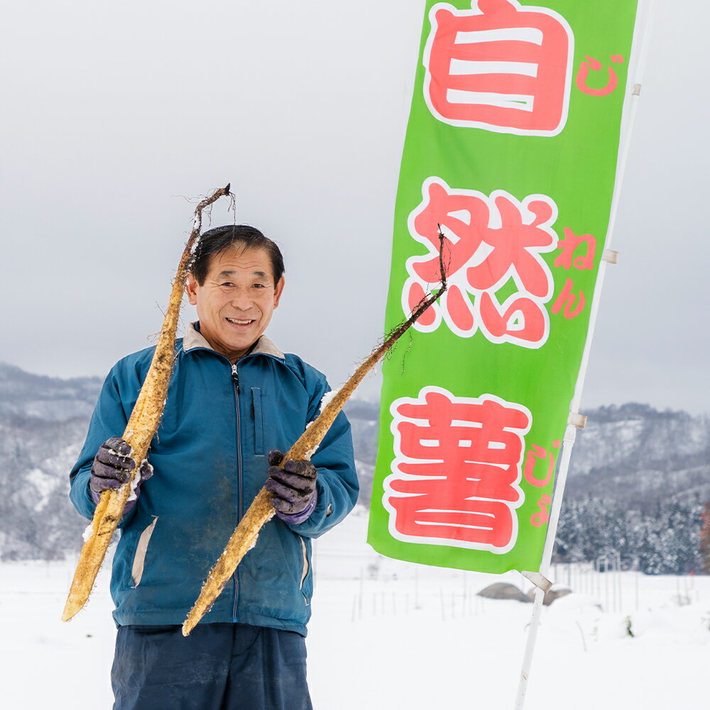 【ふるさと納税】744.【JA】ねばりっこ　秀3L×2本　※着日指定不可　※離島への配送不可　※順次発送予定