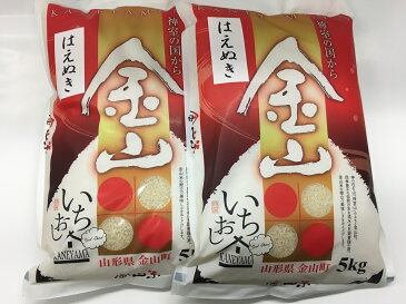 【ふるさと納税】45.【2019年産】金山産米「はえぬき【精米】」(5kg×2袋)順次発送